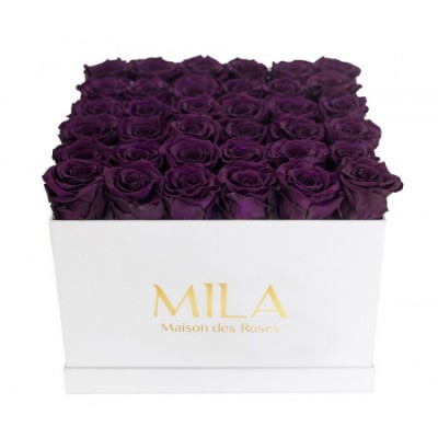 Produit Mila-Roses-00308 Mila Classique Luxe Blanc Classique - Velvet purple