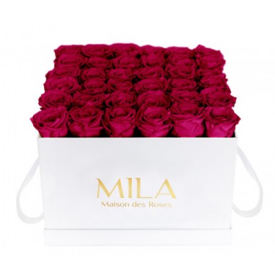 Produit Mila-Roses-00309 Mila Classique Luxe Blanc Classique - Fuchsia