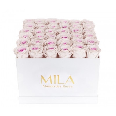 Produit Mila-Roses-00311 Mila Classique Luxe Blanc Classique - Pink bottom