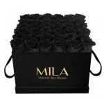  Mila-Roses-00313 Mila Classique Luxe Noir Classique - Black Velvet