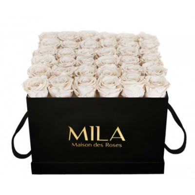 Produit Mila-Roses-00314 Mila Classique Luxe Noir Classique - White Cream