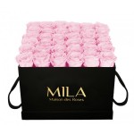  Mila-Roses-00316 Mila Classique Luxe Noir Classique - Pink Blush