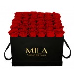  Mila-Roses-00318 Mila Classique Luxe Noir Classique - Rouge Amour