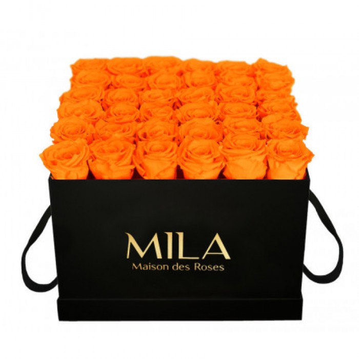 Mila Classique Luxe Noir Classique - Orange Bloom