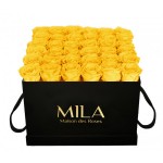  Mila-Roses-00325 Mila Classique Luxe Noir Classique - Yellow Sunshine
