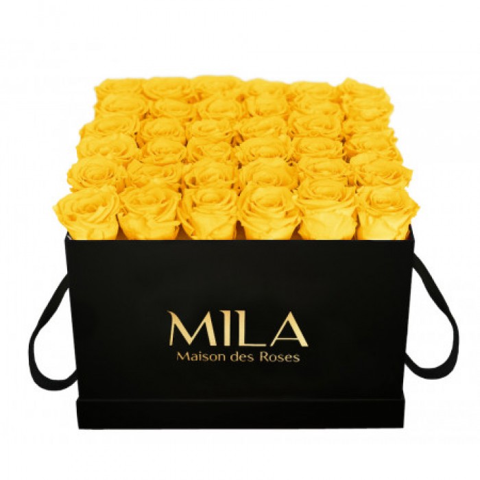 Mila Classique Luxe Noir Classique - Yellow Sunshine