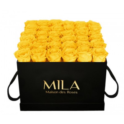 Produit Mila-Roses-00325 Mila Classique Luxe Noir Classique - Yellow Sunshine