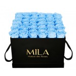  Mila-Roses-00326 Mila Classique Luxe Noir Classique - Baby blue