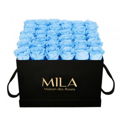 Produit Mila-Roses-00326 Mila Classique Luxe Noir Classique - Baby blue