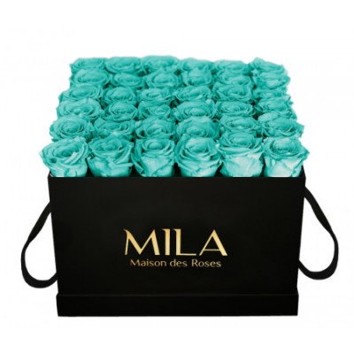 Produit Mila-Roses-00327 Mila Classique Luxe Noir Classique - Aquamarine