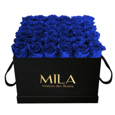 Produit Mila-Roses-00328 Mila Classique Luxe Noir Classique - Royal blue
