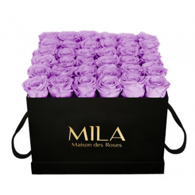 Produit Mila-Roses-00329 Mila Classique Luxe Noir Classique - Lavender