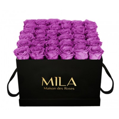 Produit Mila-Roses-00330 Mila Classique Luxe Noir Classique - Mauve