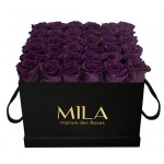  Mila-Roses-00332 Mila Classique Luxe Noir Classique - Velvet purple