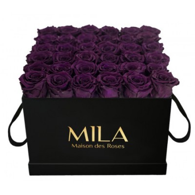 Produit Mila-Roses-00332 Mila Classique Luxe Noir Classique - Velvet purple