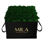 Mila-Roses-00334 Mila Classique Luxe Noir Classique - Emeraude