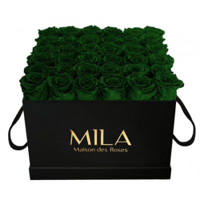 Produit Mila-Roses-00334 Mila Classique Luxe Noir Classique - Emeraude