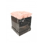  Mila-Roses-00414 Mila Acrylic Black Marble - Pure Peach