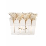  Mila-Roses-00435 Mila Acrylic Mini Table - Haute Couture