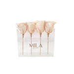  Mila-Roses-00441 Mila Acrylic Mini Table - Champagne
