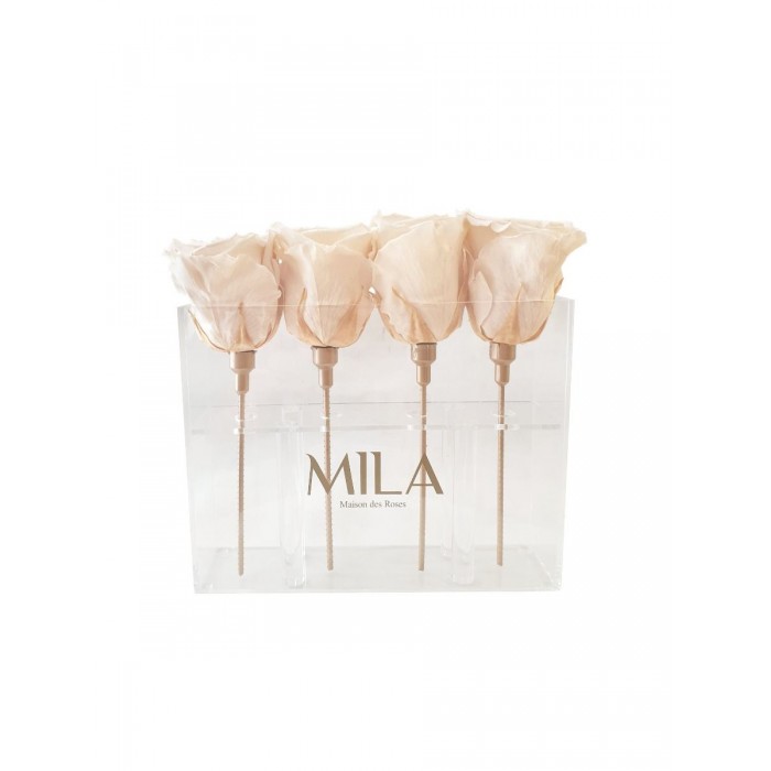 Mila Acrylic Mini Table - Champagne