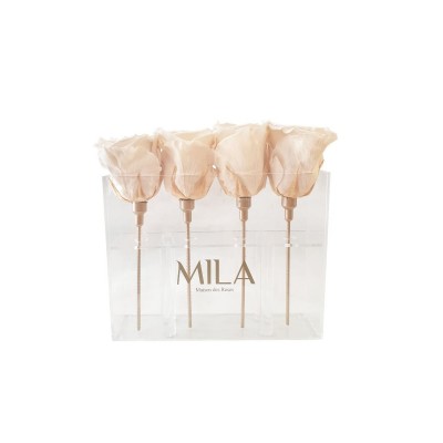 Produit Mila-Roses-00441 Mila Acrylic Mini Table - Champagne