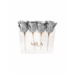  Mila-Roses-00443 Mila Acrylic Mini Table - Metallic Silver