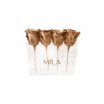  Mila-Roses-00444 Mila Acrylic Mini Table - Metallic Copper