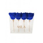  Mila-Roses-00448 Mila Acrylic Mini Table - Royal blue