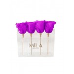  Mila-Roses-00451 Mila Acrylic Mini Table - Violin