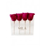  Mila-Roses-00453 Mila Acrylic Mini Table - Fuchsia