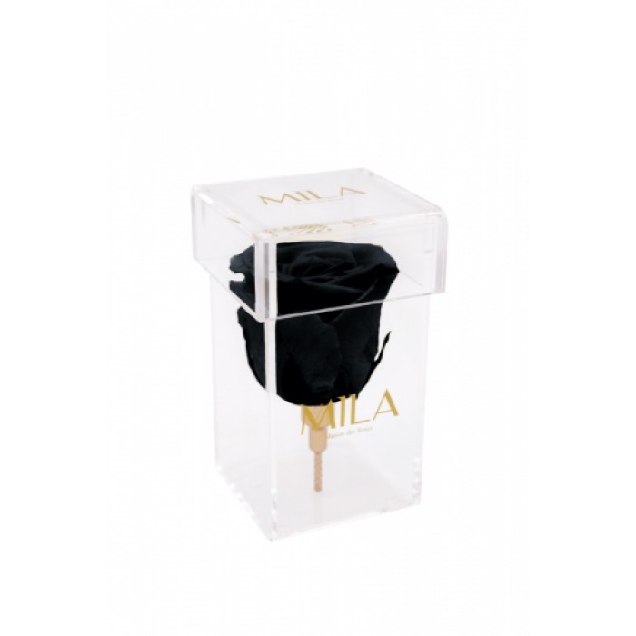 Mila Acrylic Single Stem - Black Velvet