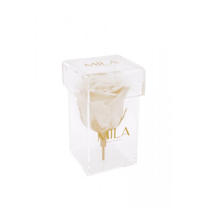 Mila Acrylic Single Stem - White Cream