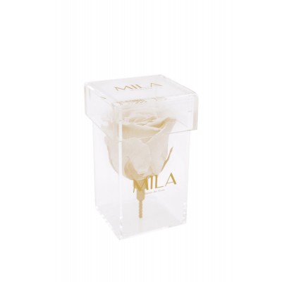 Produit Mila-Roses-00458 Mila Acrylic Single Stem - White Cream