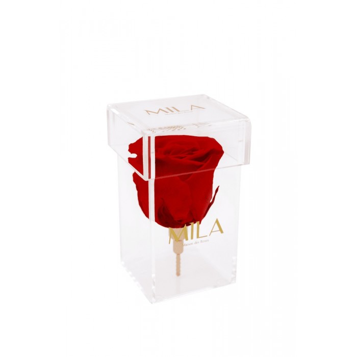 Mila Acrylic Single Stem - Rouge Amour