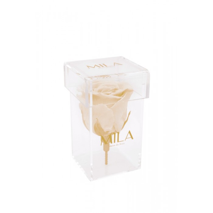 Mila Acrylic Single Stem - Champagne