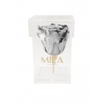  Mila-Roses-00467 Mila Acrylic Single Stem - Metallic Silver