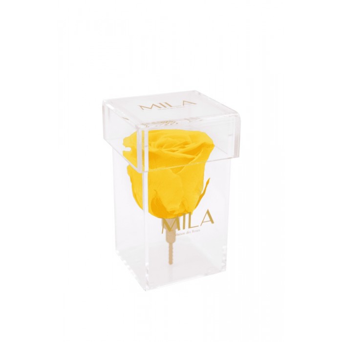 Mila Acrylic Single Stem - Yellow Sunshine