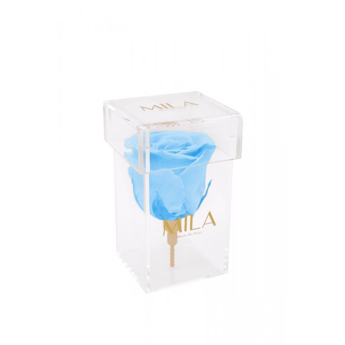 Mila Acrylic Single Stem - Baby blue