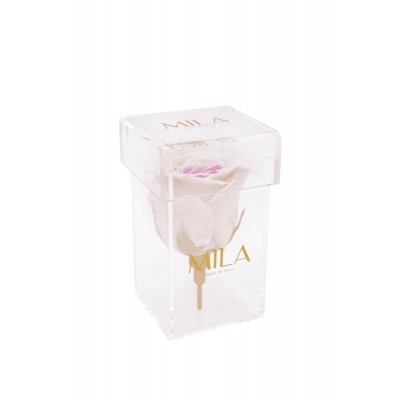 Produit Mila-Roses-00479 Mila Acrylic Single Stem - Pink bottom