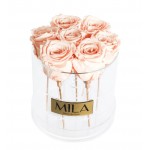  Mila-Roses-00485 Mila Acrylic Round - Pure Peach