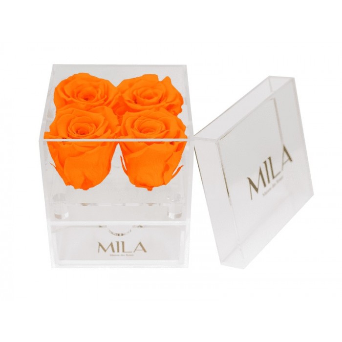 Mila Acrylic Mini Bijou - Orange Bloom