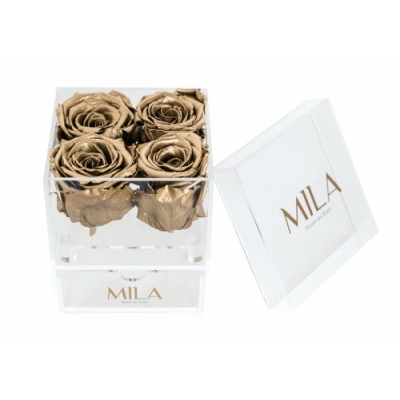 Produit Mila-Roses-00514 Mila Acrylic Mini Bijou - Metallic Gold