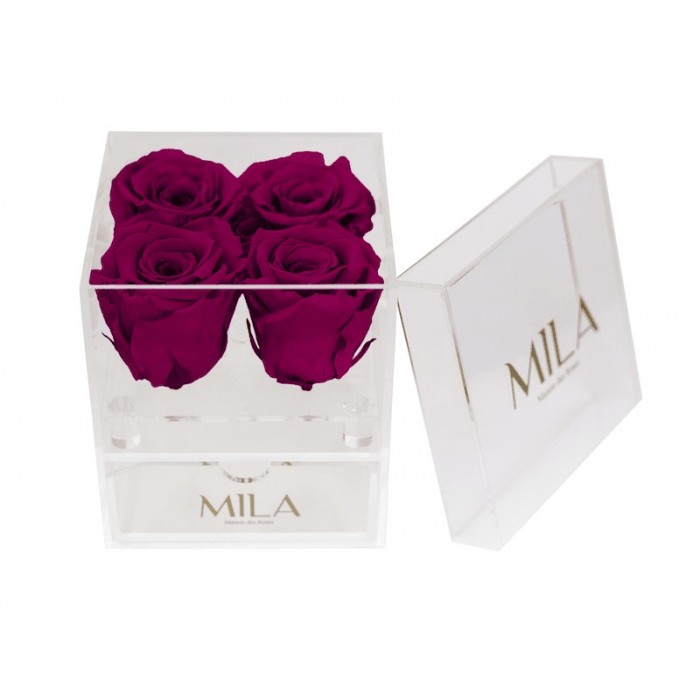 Mila Acrylic Mini Bijou - Fuchsia