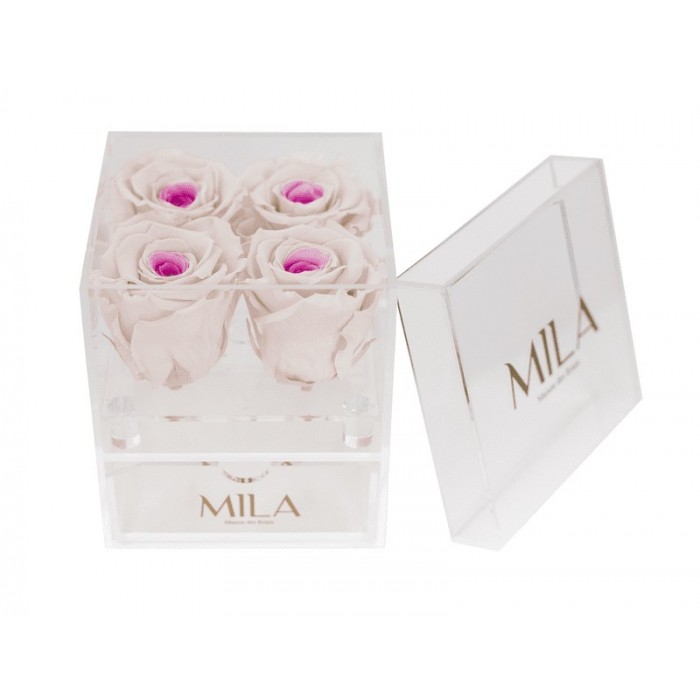 Mila Acrylic Mini Bijou - Pink bottom