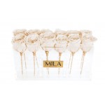  Mila-Roses-00537 Mila Acrylic Table - Champagne