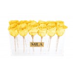  Mila-Roses-00541 Mila Acrylic Table - Yellow Sunshine