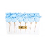  Mila-Roses-00542 Mila Acrylic Table - Baby blue