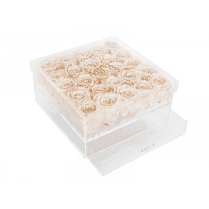 Mila Acrylic Large Bijou - Champagne