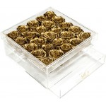  Mila-Roses-00562 Mila Acrylic Large Bijou - Metallic Gold